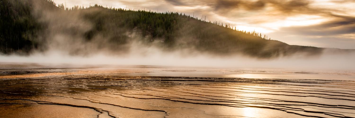 steaming landscape