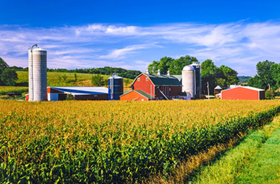 farm buildings